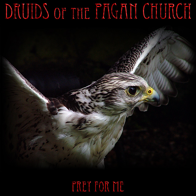 Druids (of the) Pagan Church