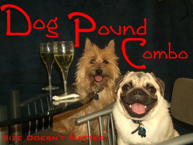 Dog Pound Combo