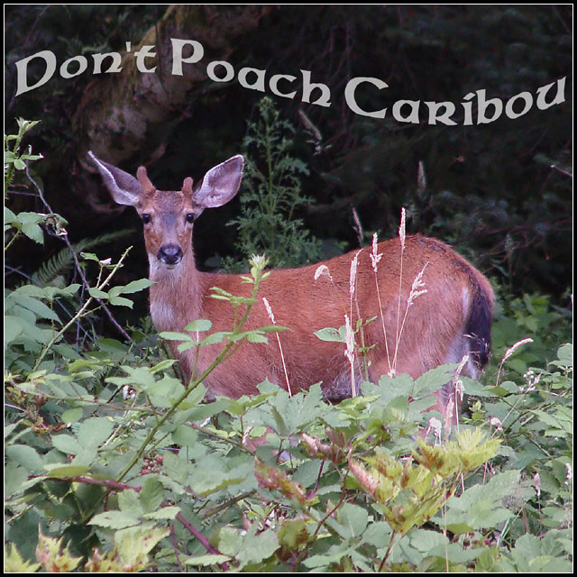 Don't Poach Caribou