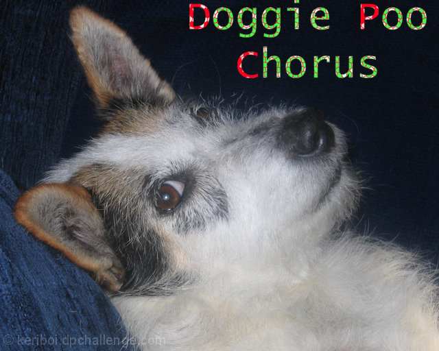 Doggie Poo Chorus