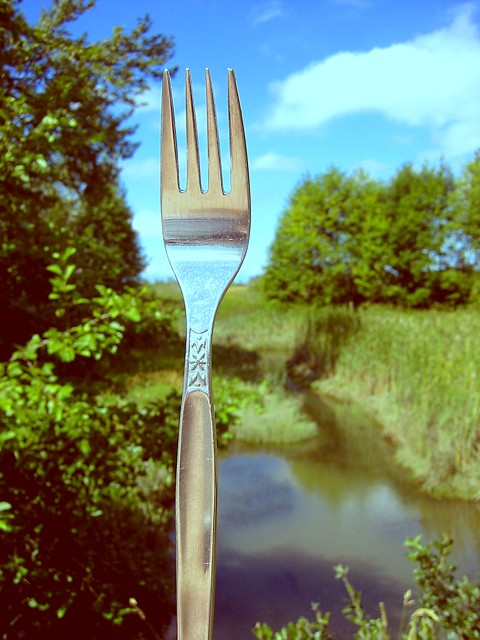 Fork in Field