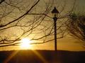 Sunrise Light