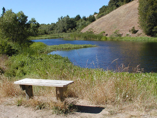 Bench with a View