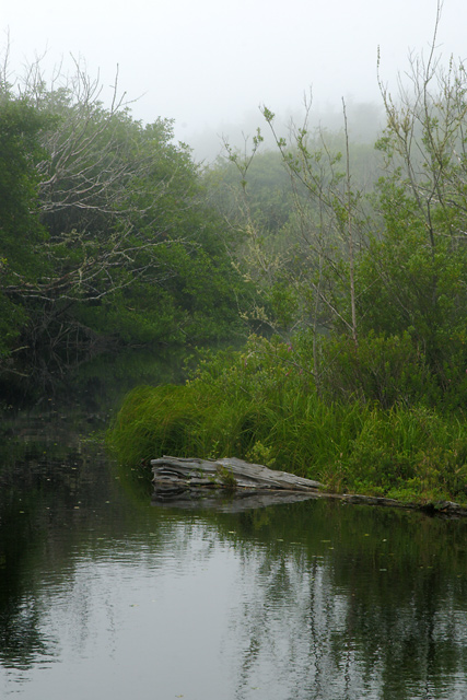 Coplais Beach Backwater, Foggy Evening