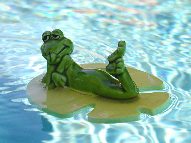 Frog Days of Summer!