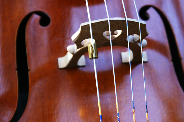 The Cello