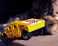 Cat, Car, and Cliff