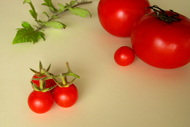 Mini tomatoes