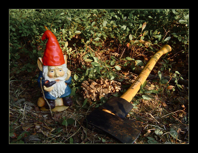 Gnomberjack