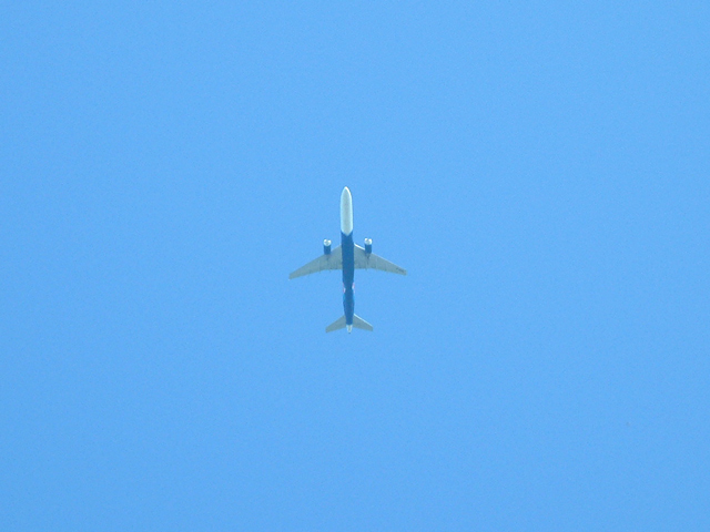 It's-PLANE-blue