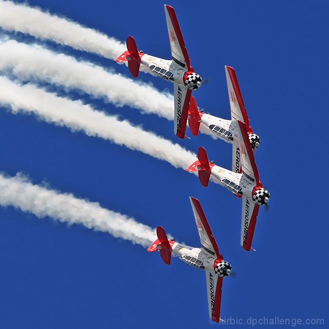 Wild Blue Yonder