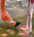 Are These My Feet?