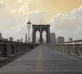 Vanishing Into Manhatten