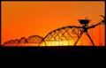 Prarie Sunset