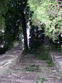 Stairway to the 'Creepy'   House