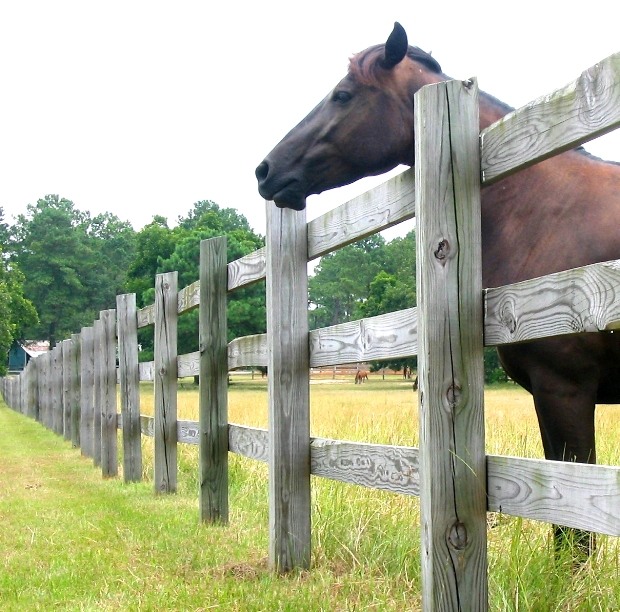 Don't fence me in.