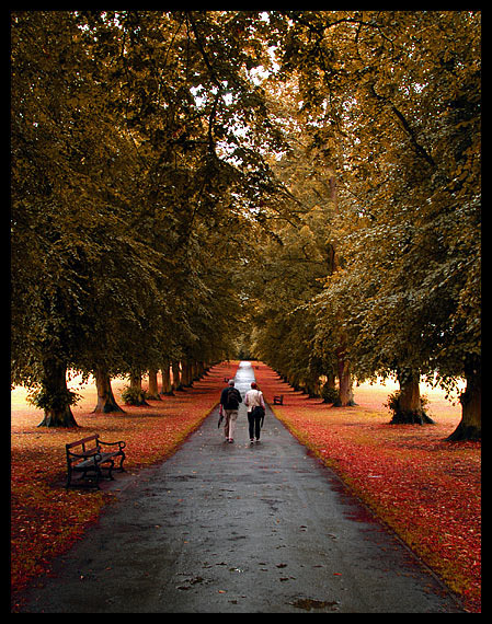 Walking the Avenue