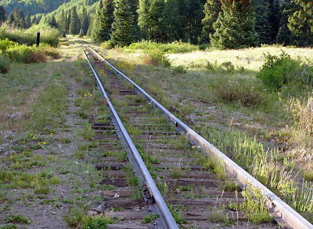 Narrow Gauge