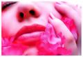 Pink Passion