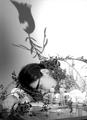 Genetic Engineering Backfires (Little Lab of Horrors)