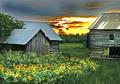 Sunflowers at Sunset