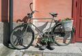Peace