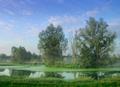 Trees on the River Stour