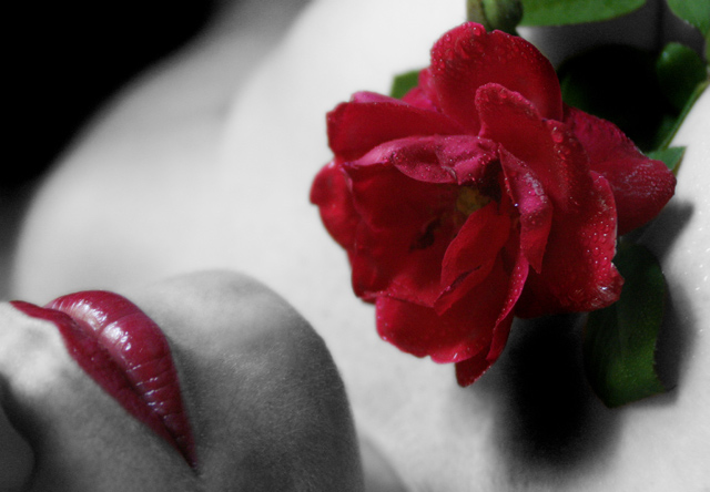 A rose with two-lips