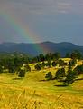 Hope for rain?