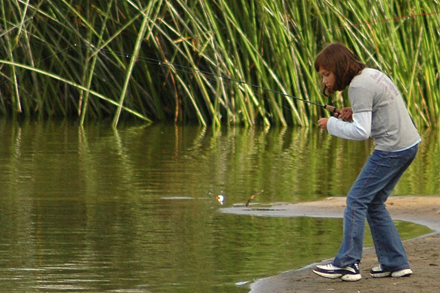 Here, Fishy Fishy Fishy