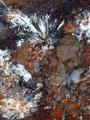 Mineral Flowers
