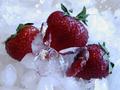 Strawberries on the Rocks