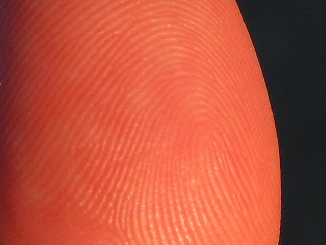Planet Thumb