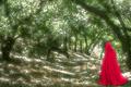 Le Petit Chaperon Rouge