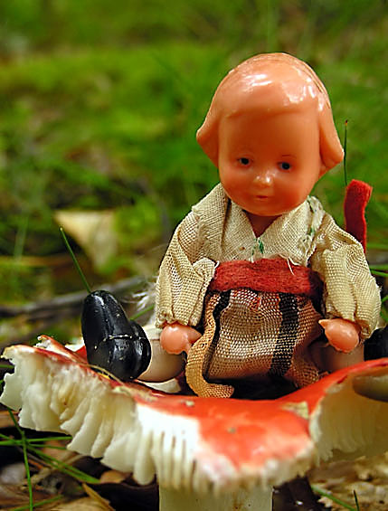 Alice In Wonderland