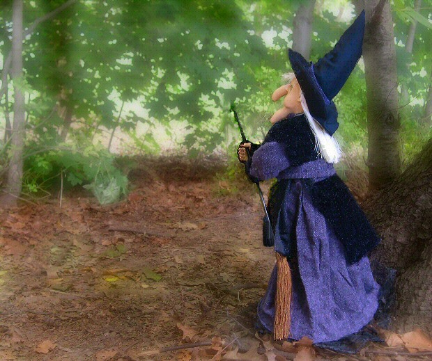 Beware of the Witch in the Woods!