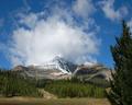 Lone Mountain Framed With Spruce And Clouds