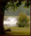 Fountain in the mist