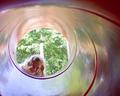 Girl in the Slide