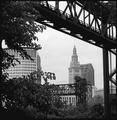 Bushes, Bridges and Buildings