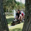 Miniture trains in the park