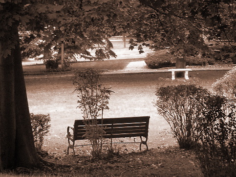 Under the Shade of a Tree