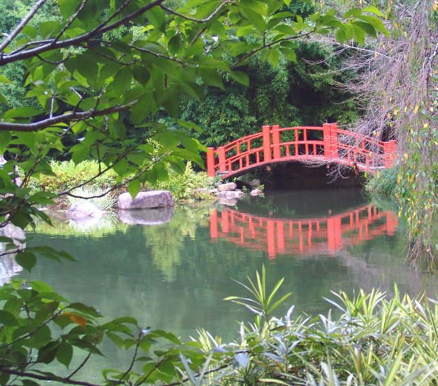 Japanese Bridge