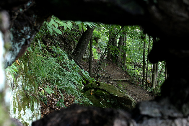 Mountain Path