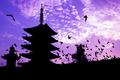 Fly away to Japan