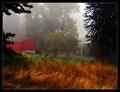 The Mists of Coquille
