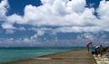 Go to the beach and discover!