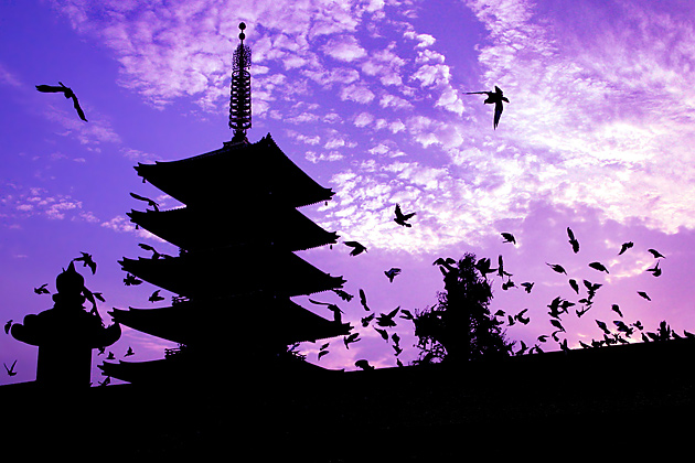 Fly away to Japan