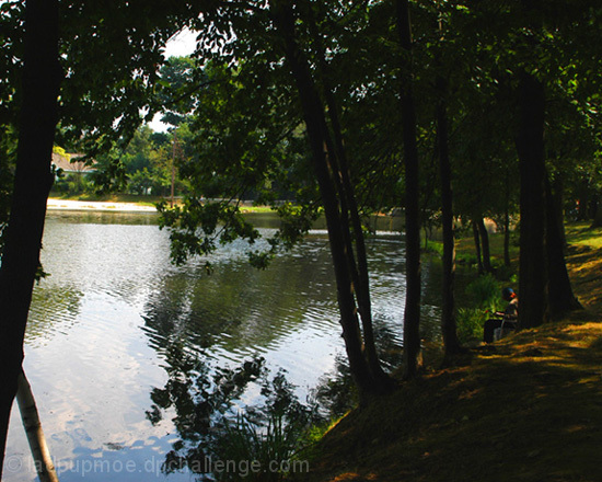 Swan Lake a great place to relax