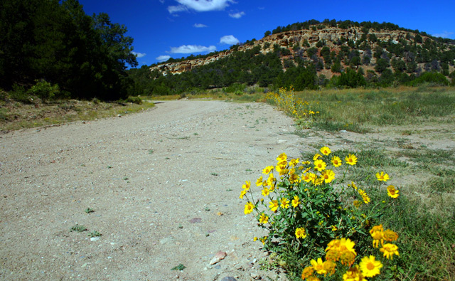 Getting Away From It All on Back Country Roads